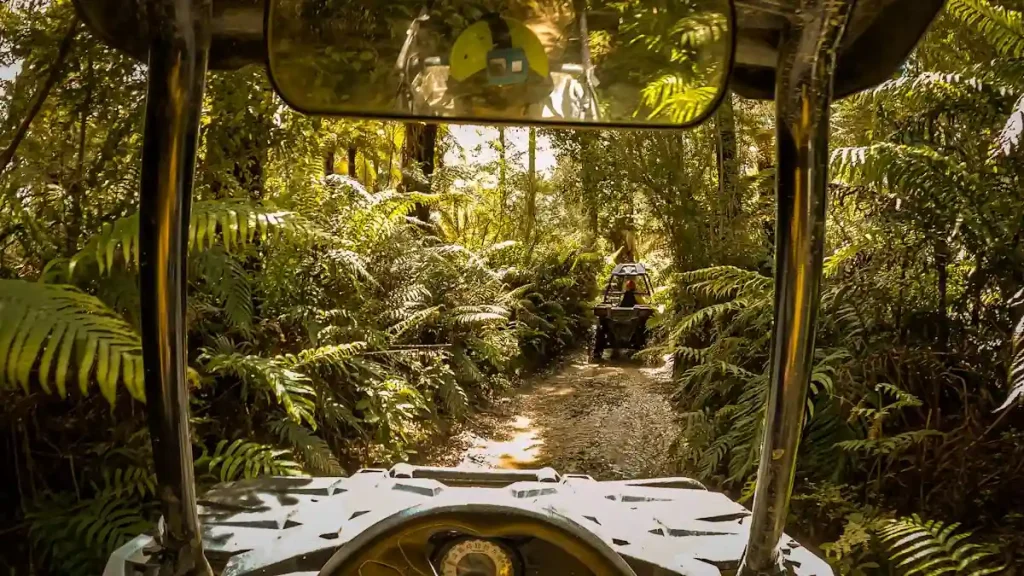 Buggy en Nueva Zelanda