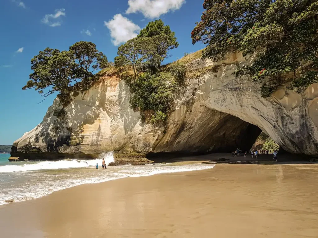 Playa Cathedral Cove Isla Norte de Nueva Zelanda