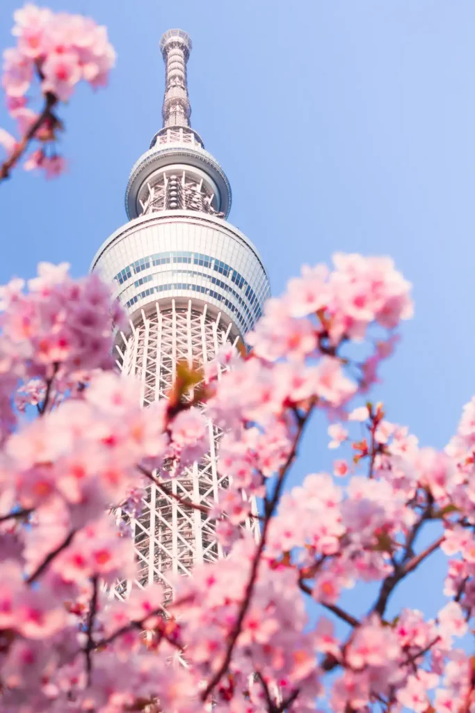 Itinerario de 3 días en Tokio