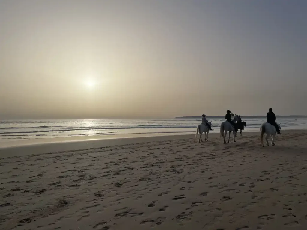 paseo a caballo
